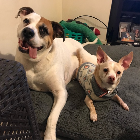 Meet your fellow posher! #ulcerativecolitisfighter - Picture 2 of 4